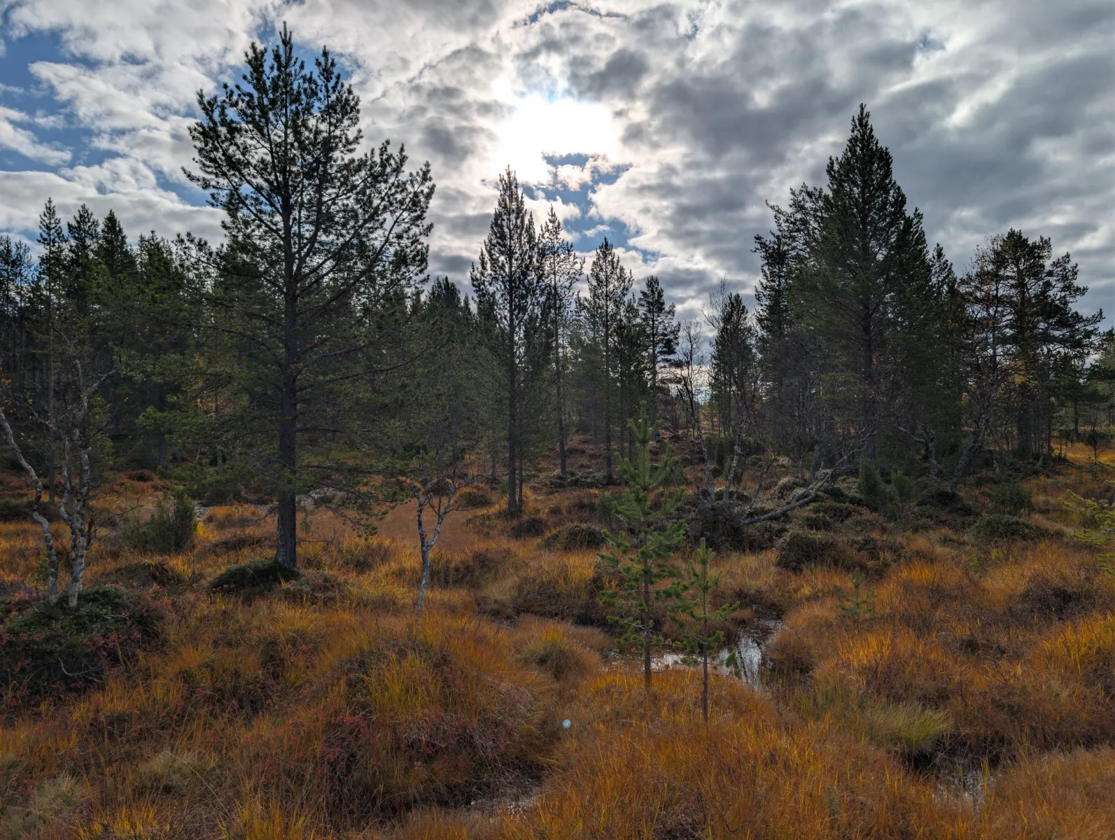 Urho Kekkosen s Elzou - day 3 · Urho  Kekkosen kansallispuisto – fotka 1