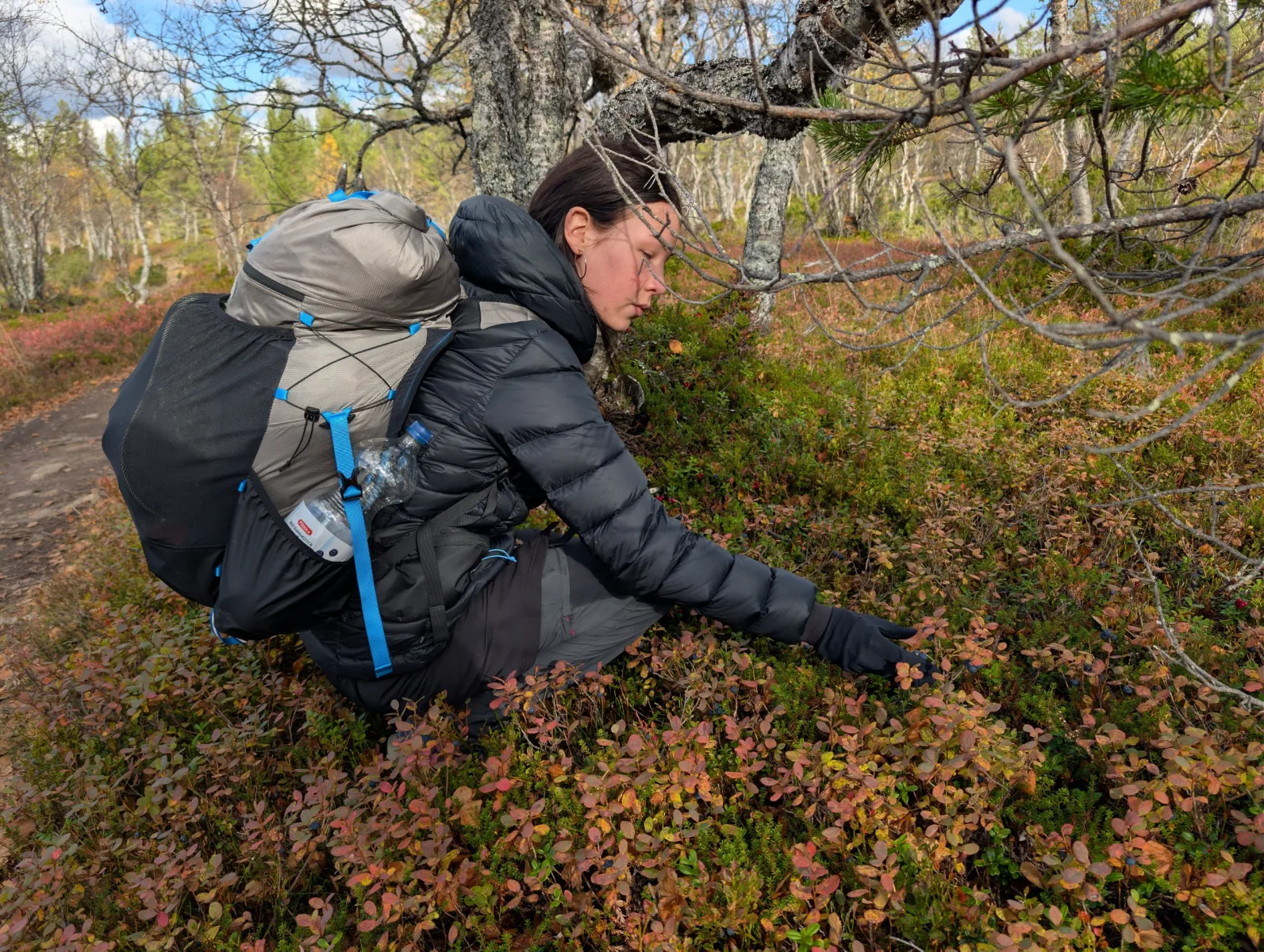 Urho Kekkosen s Elzou - day 3 · Urho  Kekkosen kansallispuisto – fotka 5