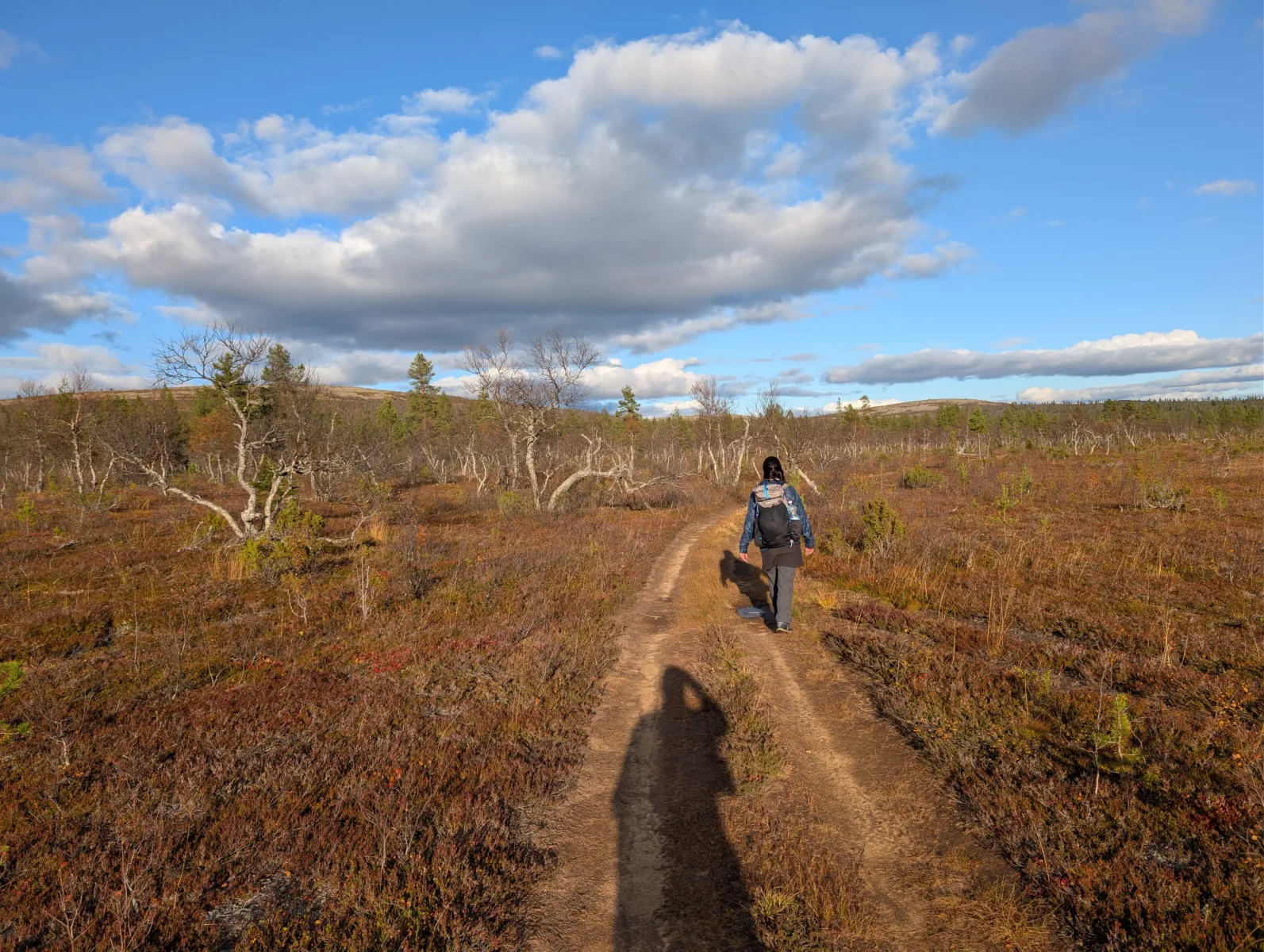 Urho Kekkosen s Elzou - day 4 · Urho  Kekkosen kansallispuisto – fotka 5