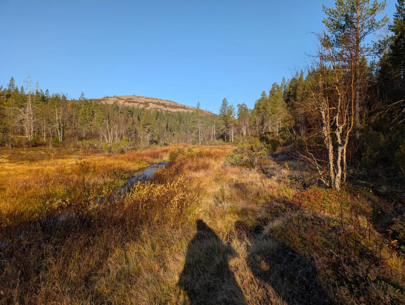 Urho Kekkosen s Elzou - day 5 · Urho  Kekkosen kansallispuisto – fotka 2
