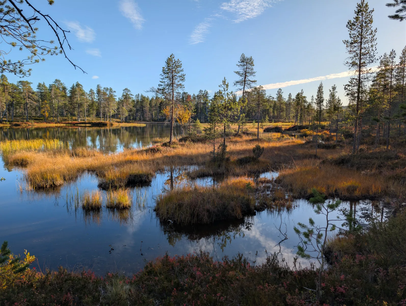 Urho Kekkosen s Elzou - day 5 · Urho  Kekkosen kansallispuisto – fotka 9