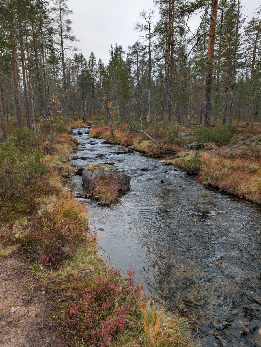 Urho Kekkosen s Elzou - day 6 · Urho  Kekkosen kansallispuisto – fotka 1