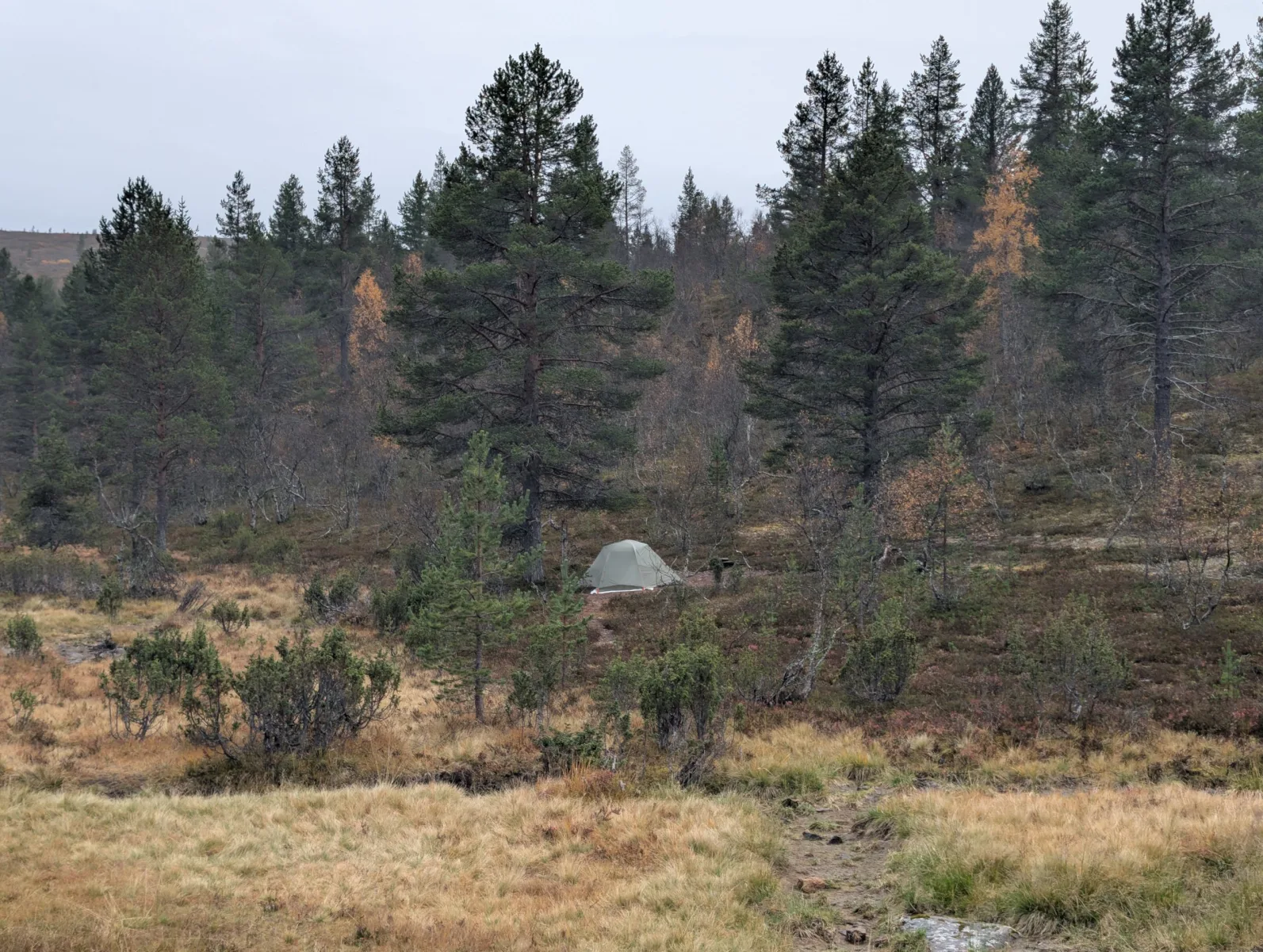 Urho Kekkosen s Elzou - day 6 · Urho  Kekkosen kansallispuisto – fotka 8