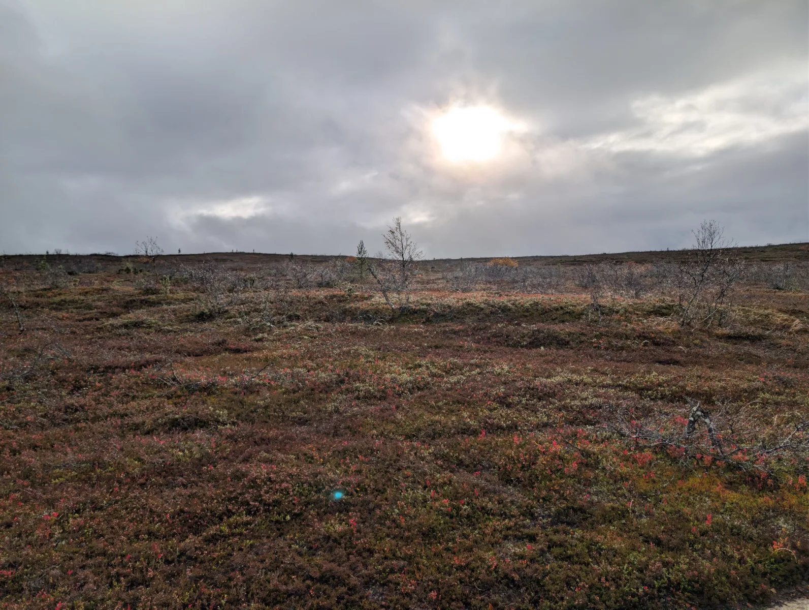 Urho Kekkosen s Elzou - day 7 · Urho  Kekkosen kansallispuisto – fotka 6
