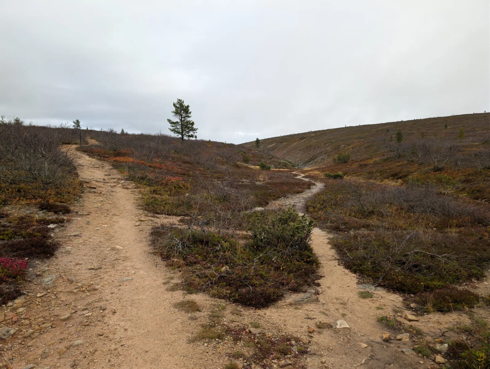 Urho Kekkosen s Elzou - day 8 · Urho  Kekkosen kansallispuisto – fotka 2
