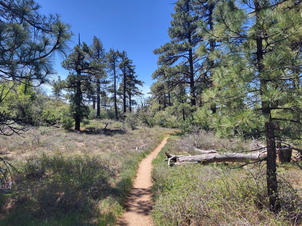 PCT day 3