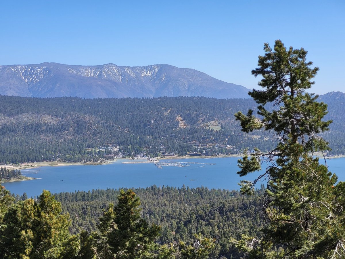 PCT day 21