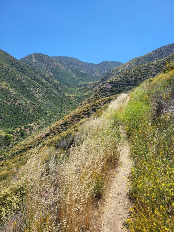 PCT day 25