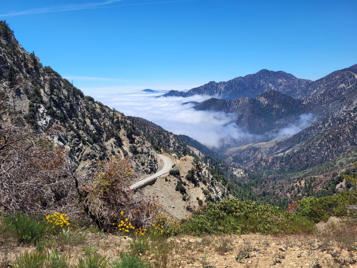 PCT day 28