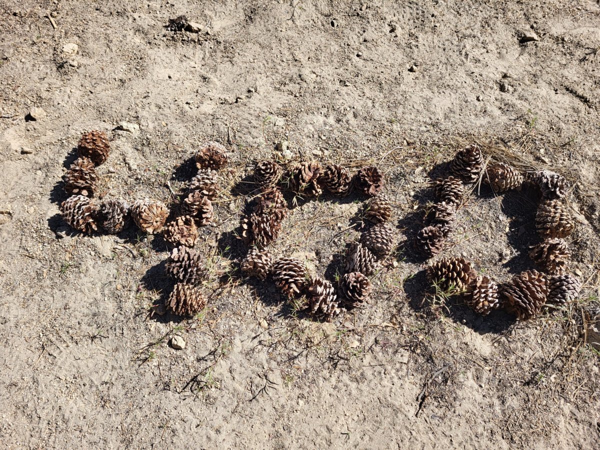 PCT day 29