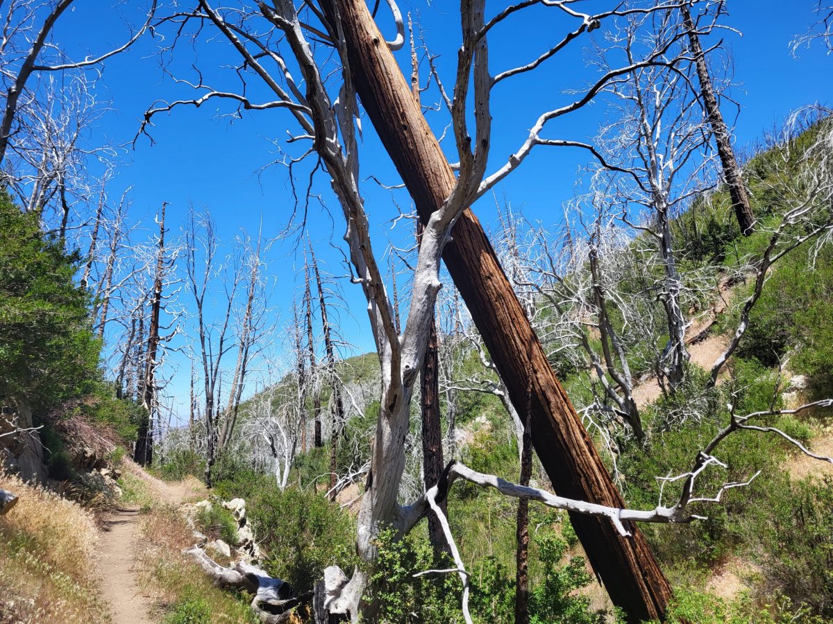 PCT day 30