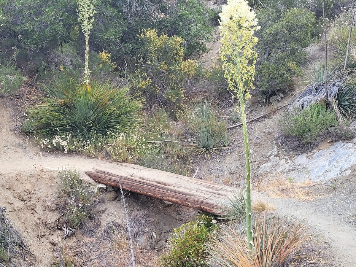 PCT day 34