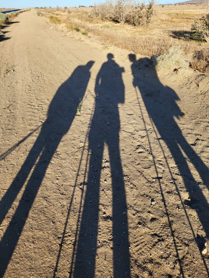 PCT day 36