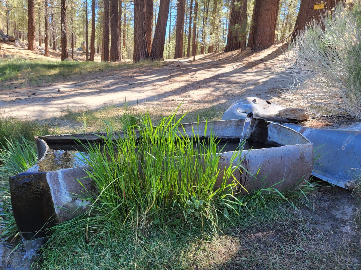 PCT day 43
