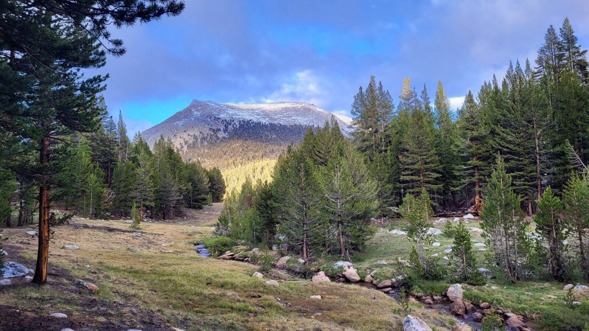 PCT day 53