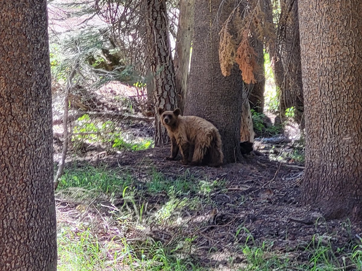 PCT day 72