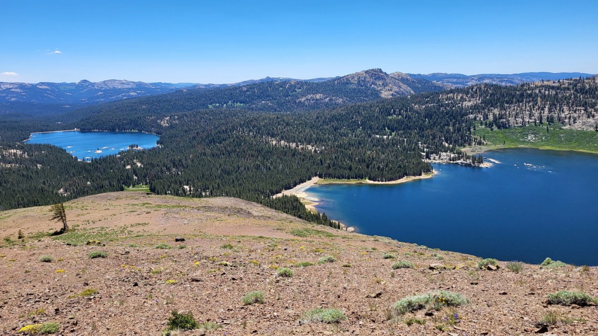 PCT day 77