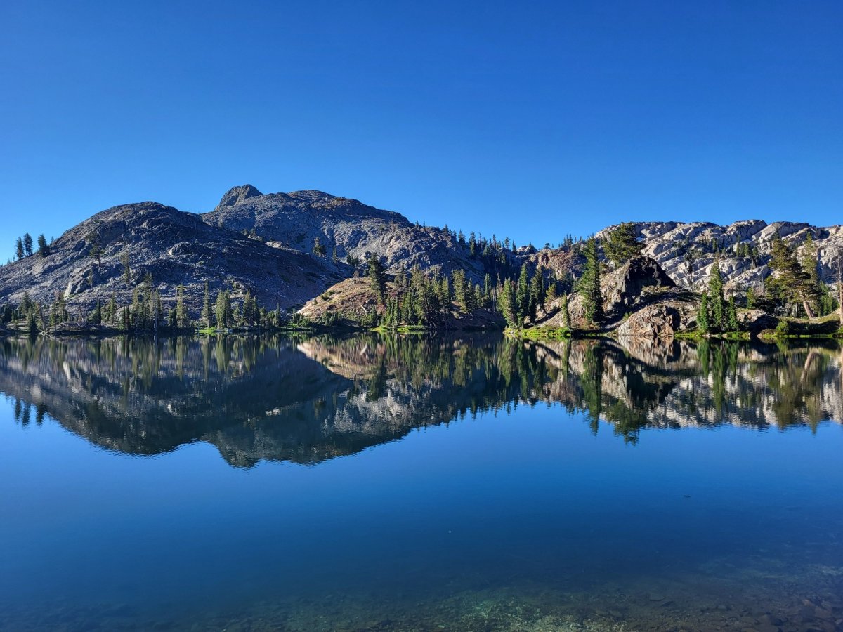 PCT day 81
