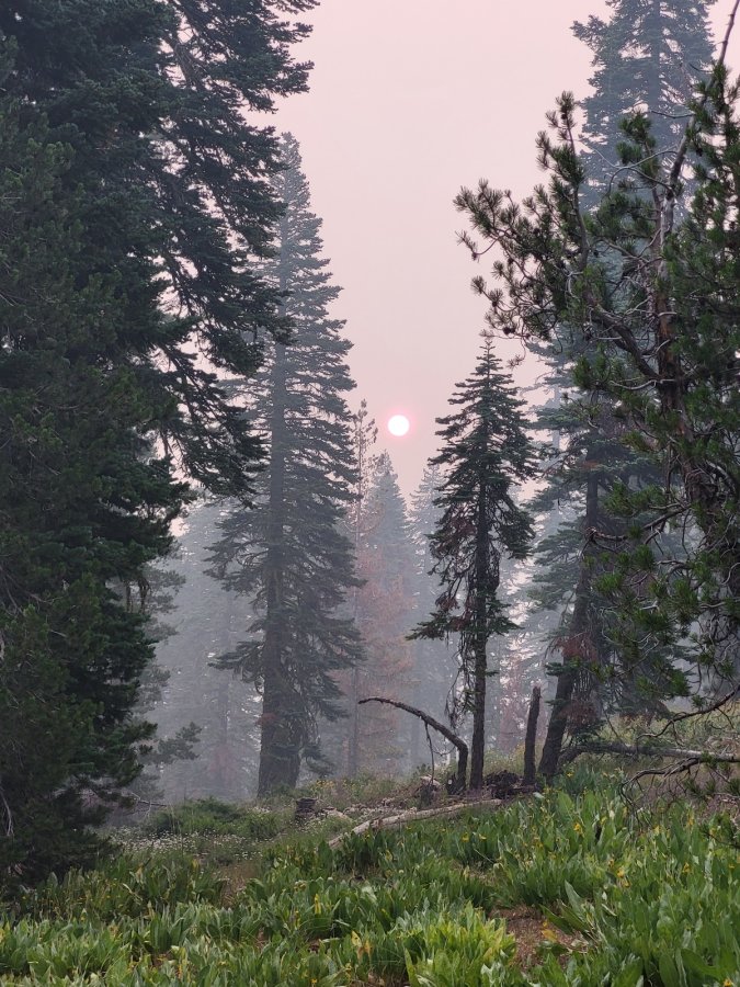 PCT day 85