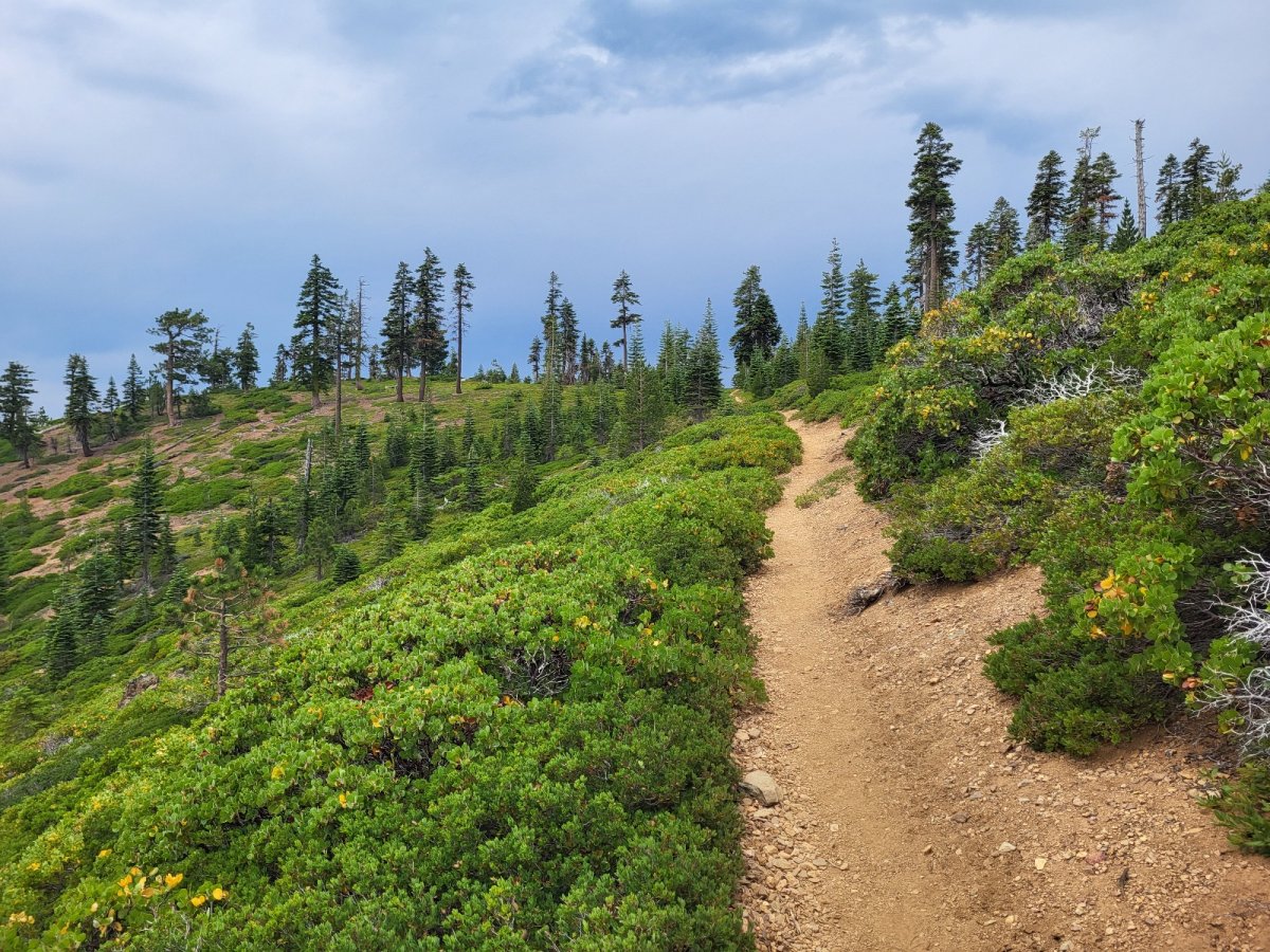 PCT day 87