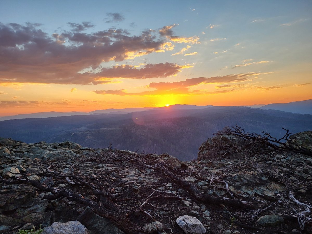 PCT day 90