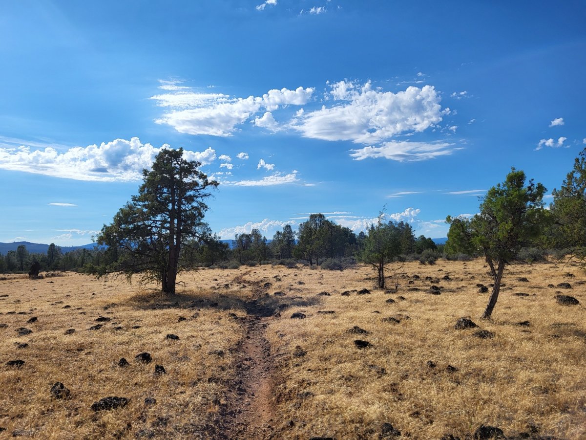 PCT day 96