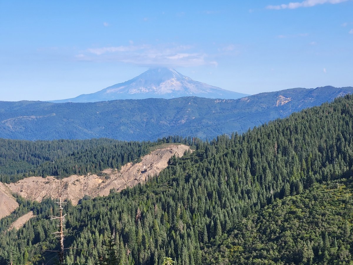 PCT day 99