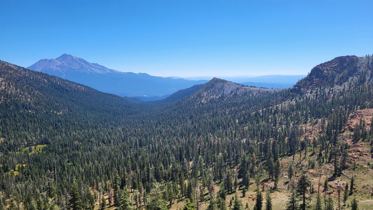 PCT day 104