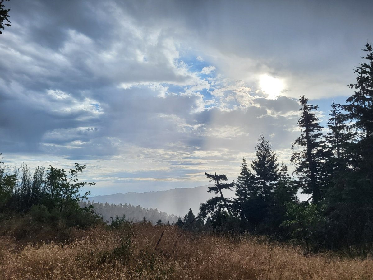 PCT day 109