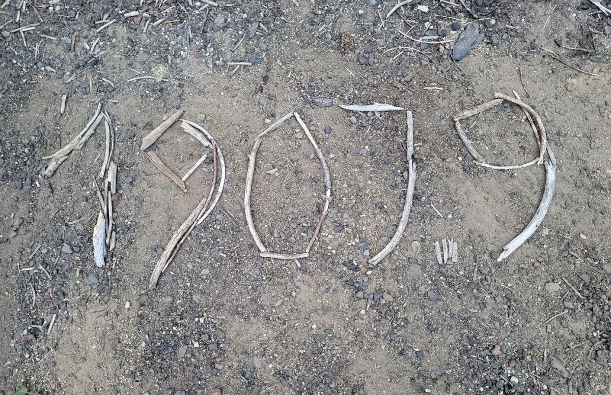 PCT day 115