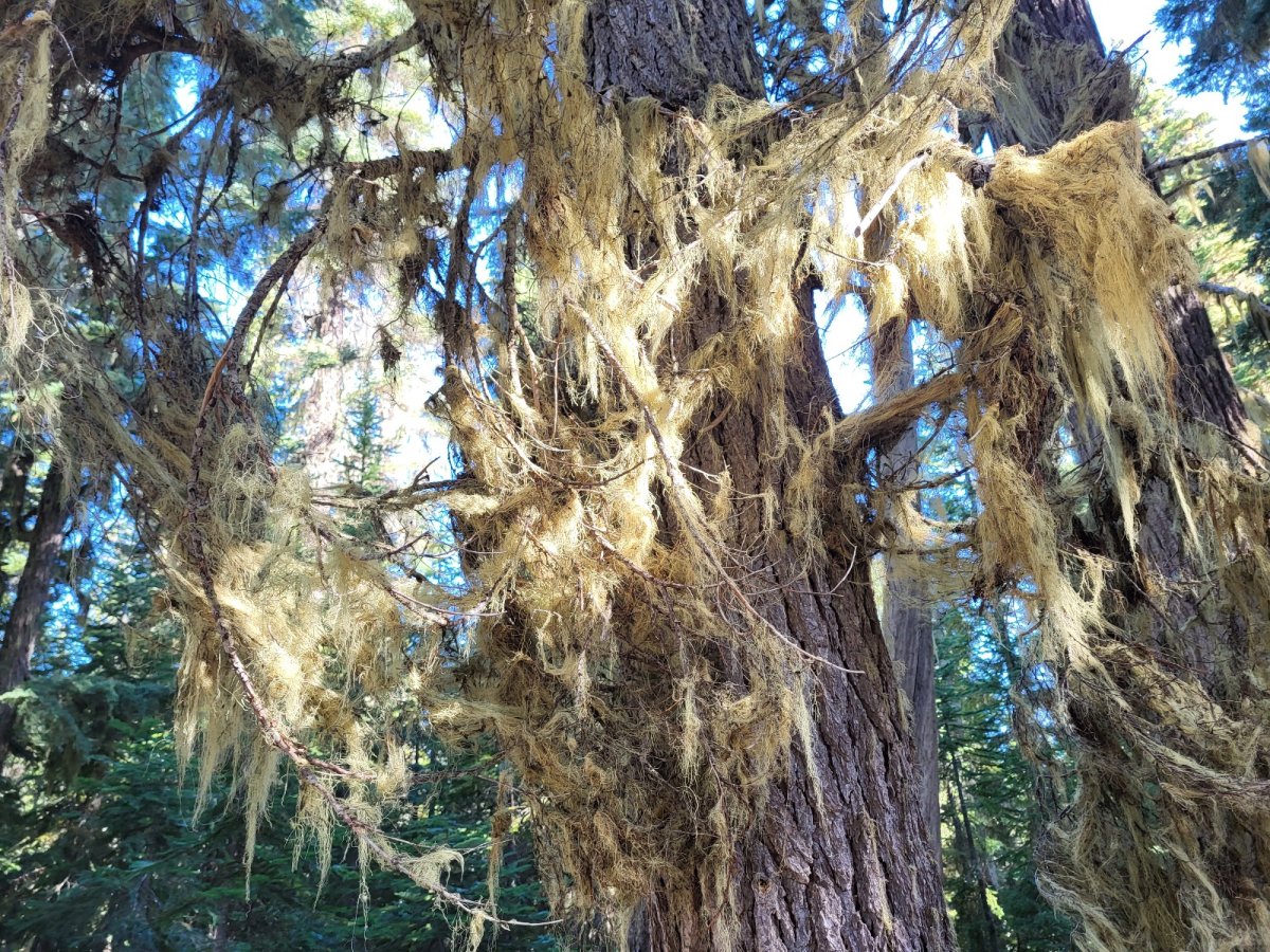 PCT day 116