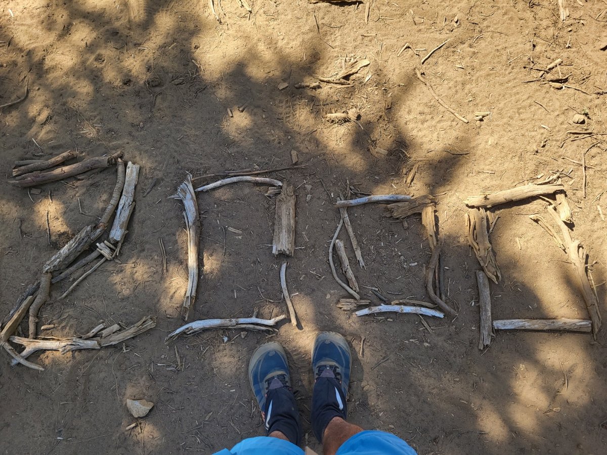 PCT day 119