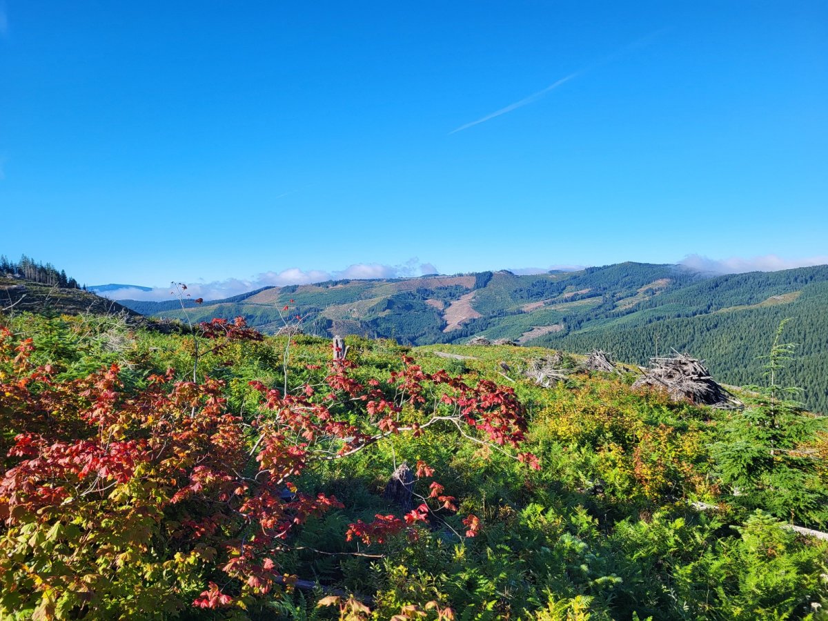 PCT day 128
