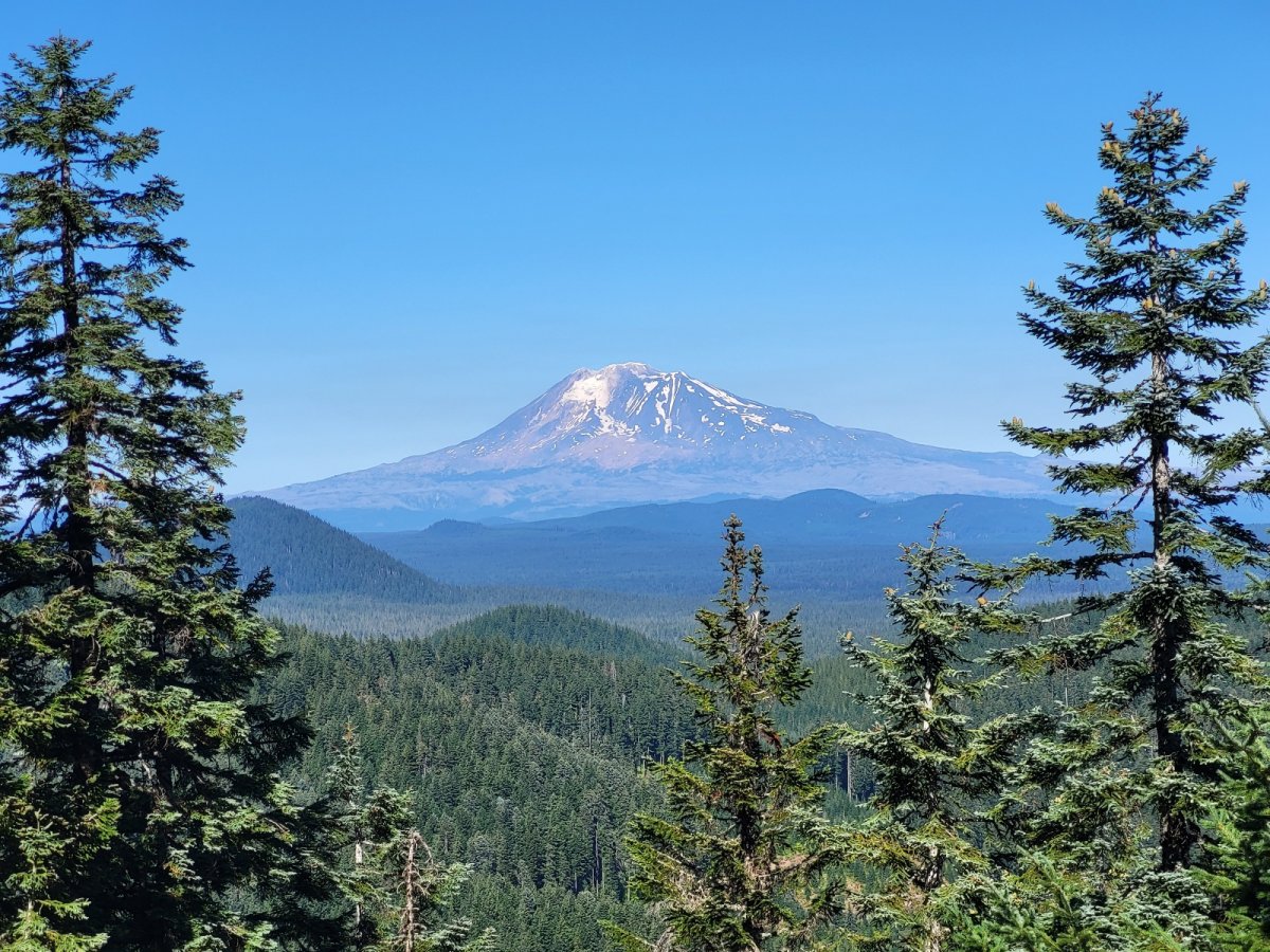 PCT day 129