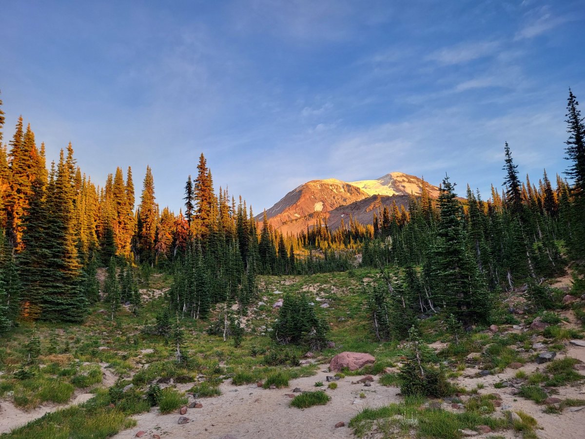 PCT day 131