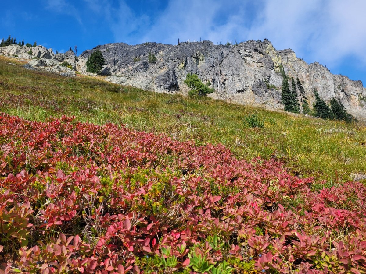 PCT day 136