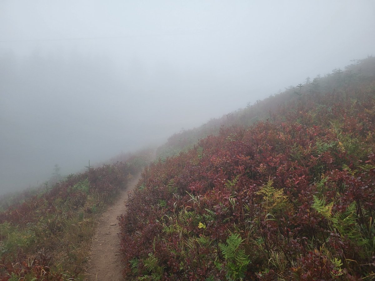 PCT day 138