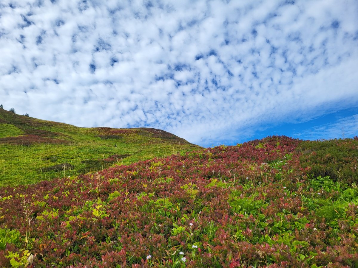 PCT day 147