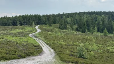 Víkendové Brdy s PCT bandou - den druhý · Jentakchození – fotka 9