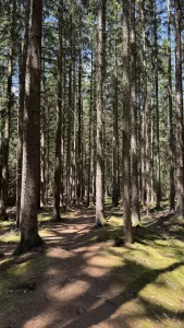 Víkendové Brdy s PCT bandou - den poslední · Jentakchození – fotka 6