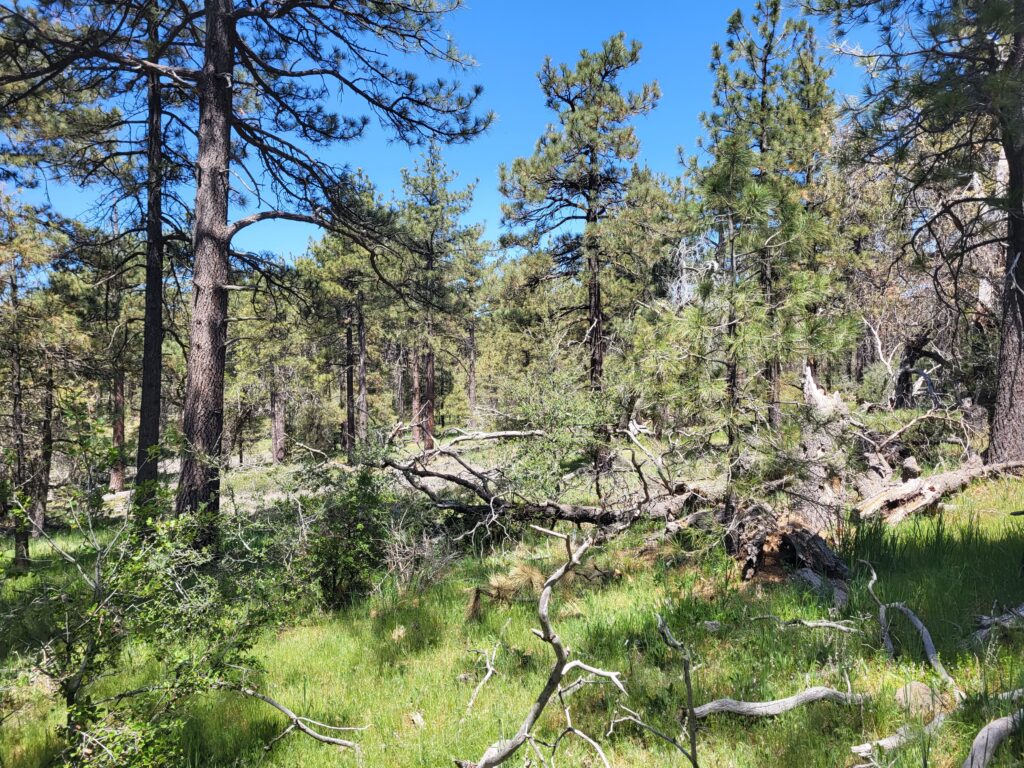 PCT day 3 · PCT class 2022 – fotka 6