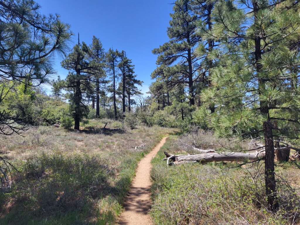 PCT day 3 · PCT class 2022 – fotka 5