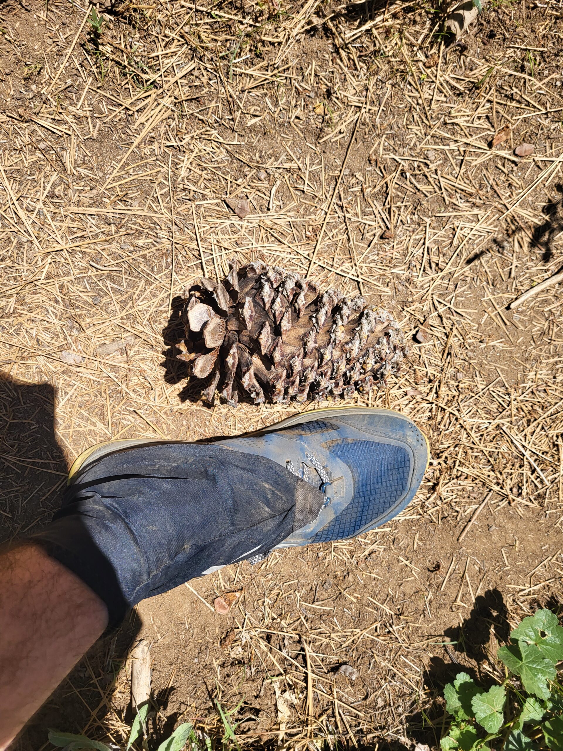 PCT day 3 · PCT class 2022 – fotka 4