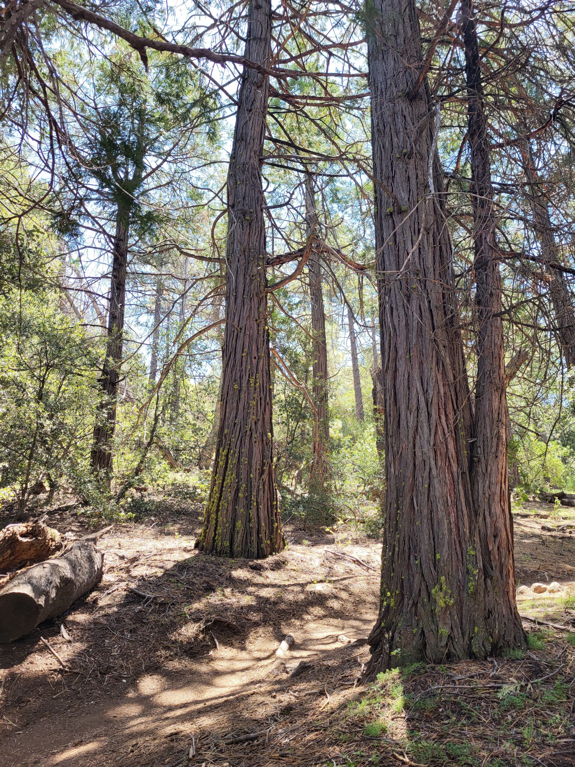 PCT day 3 · PCT class 2022 – fotka 3