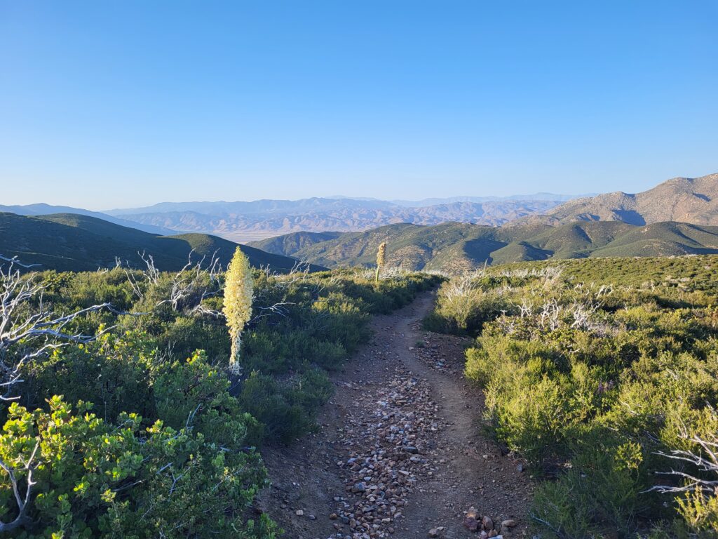 PCT day 4 · PCT class 2022 – fotka 6