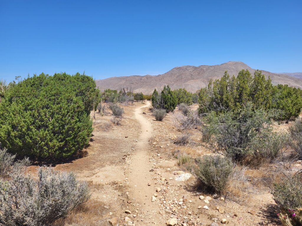 PCT day 5 · PCT class 2022 – fotka 3