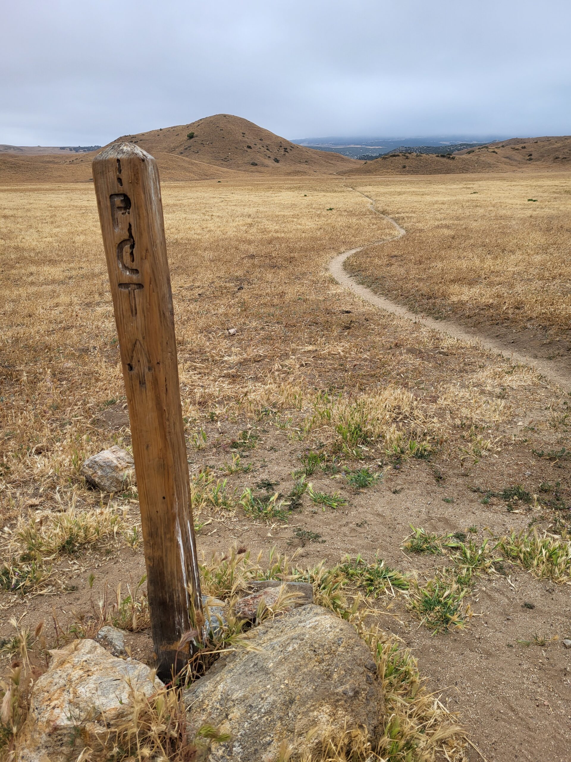 PCT day 8 · PCT class 2022 – fotka 1