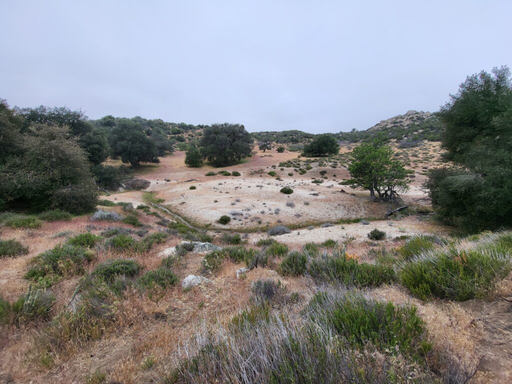 PCT day 8 · PCT class 2022 – fotka 5