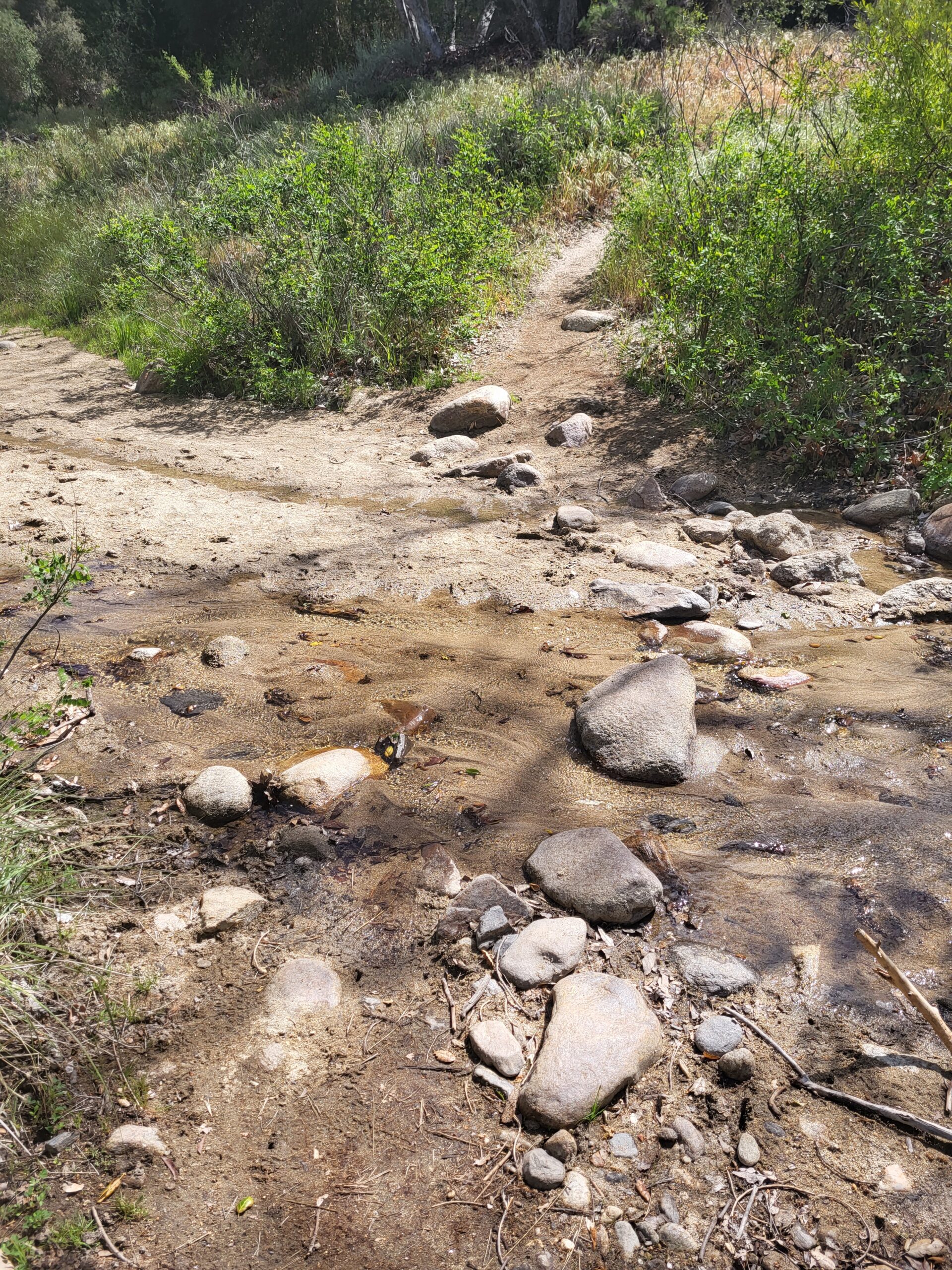 PCT day 9 · PCT class 2022 – fotka 3