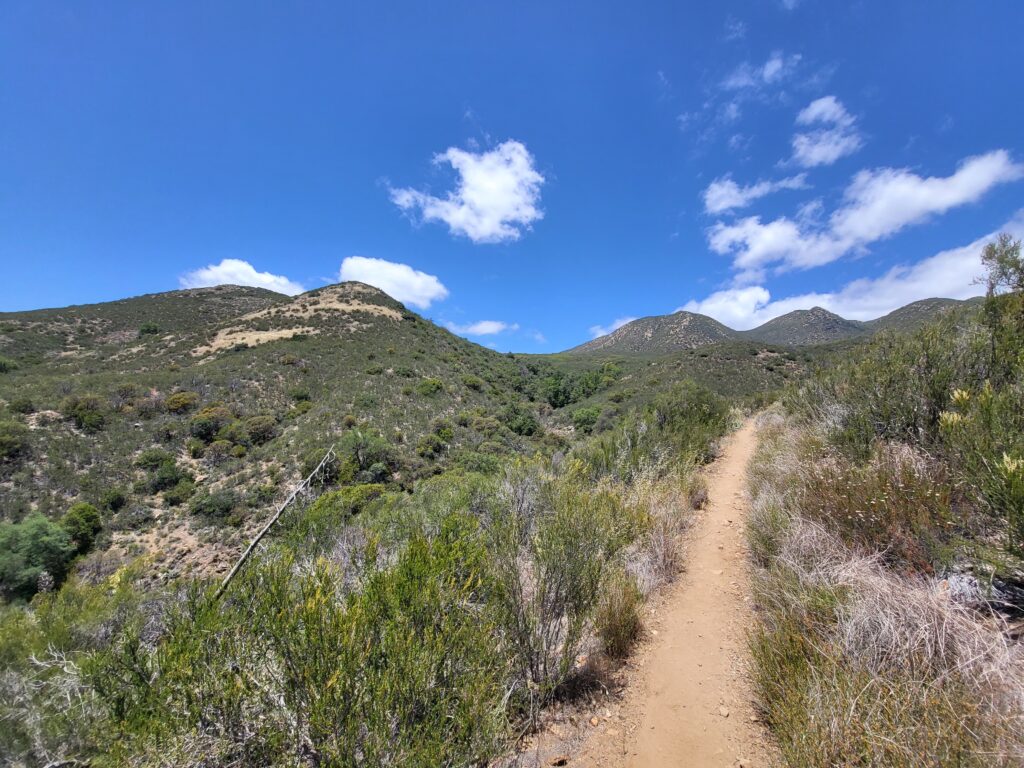 PCT day 9 · PCT class 2022 – fotka 5